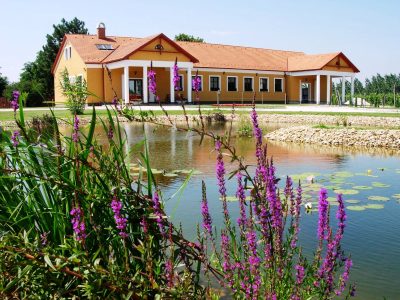 Gál Winery Szigetcsép